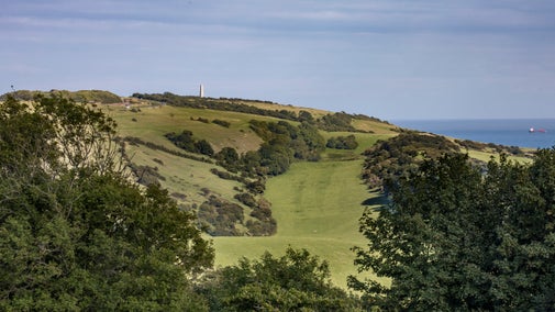 A long-distance view of the side of Bembridge Down leading to the YarboroughMonument in the distance